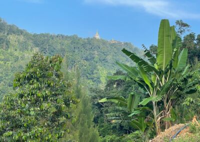 Ausblick vom Koh Samui Shortcut auf den höchsten Berg Samuis mit Tempel und Buddha